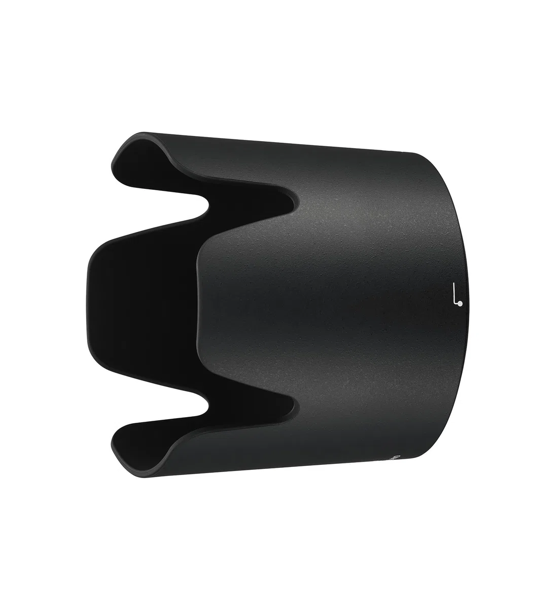 Nikon AF-P 70-300 mm f/4.5-5.6E et téléobjectif VR pour Appareil Photo Reflex numérique Noir