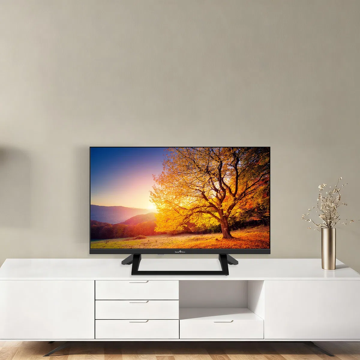 Smart Tech TV LED HD 24" (60 cm) Smart TV Google 24HG01VC Chargeur de véhicule 12v fourni, HDMI, USB, Résolution: 1366 * 768