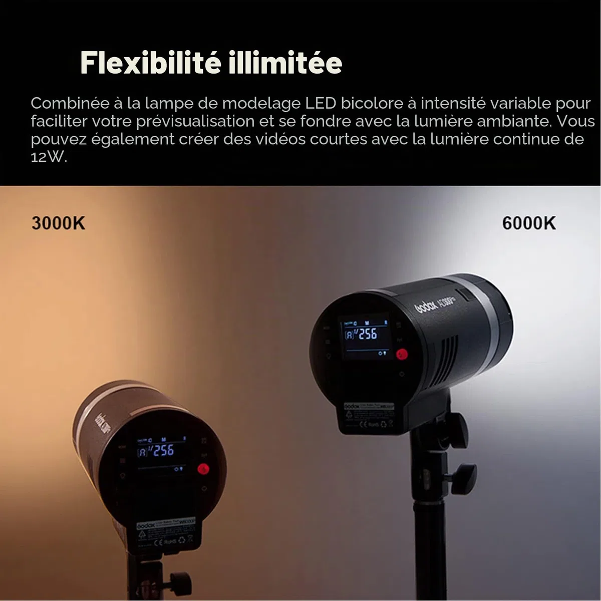 Godox AD300 Pro AD300Pro Flash de Studio, 300W TTL Éclairage de Studio Stroboscope HSS 1/8000s, Lithium Batterie, 320 Flash de Pleine Puissance, Compatible pour Sony Canon Nikon Fuji Olympus Panasonic